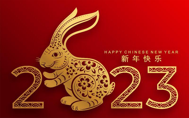 Chinese New Year 2023: Welcome the Year of the Rabbit with These MICHELIN  Guide Recommendations
